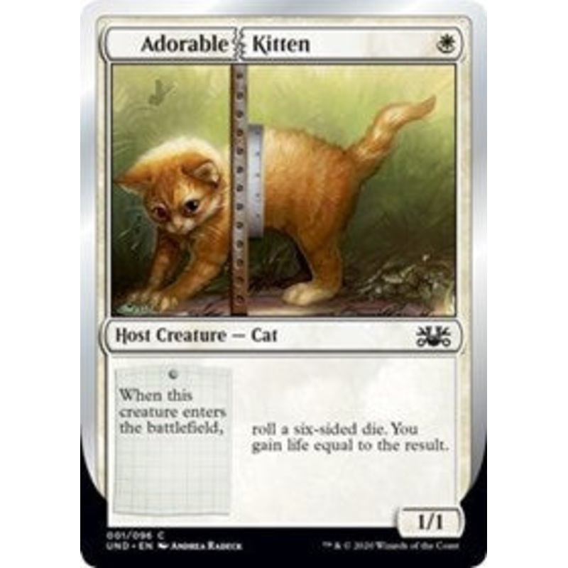Adorable Kitten [Unsanctioned]