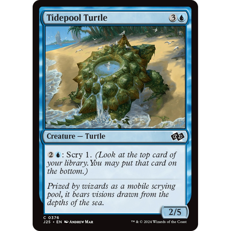 Tidepool Turtle [Foundations Jumpstart]