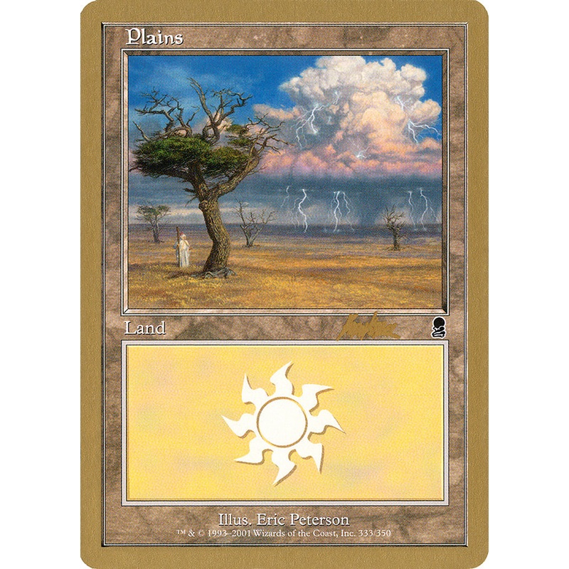 Plains (bk333) (Brian Kibler) [World Championship Decks 2002]