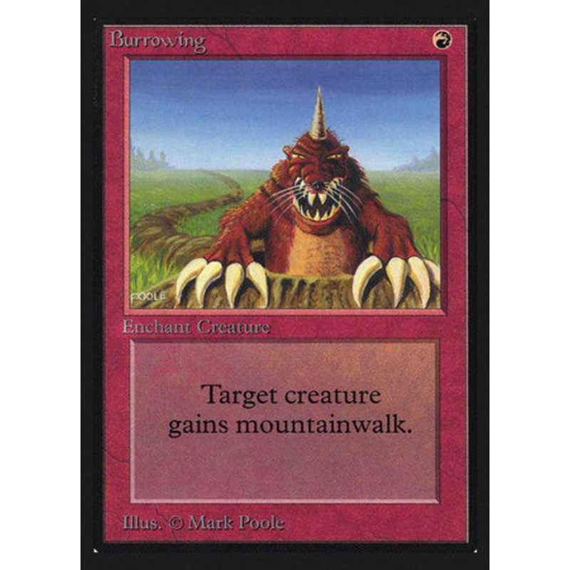 Burrowing (IE) [Intl. Collectors Edition]