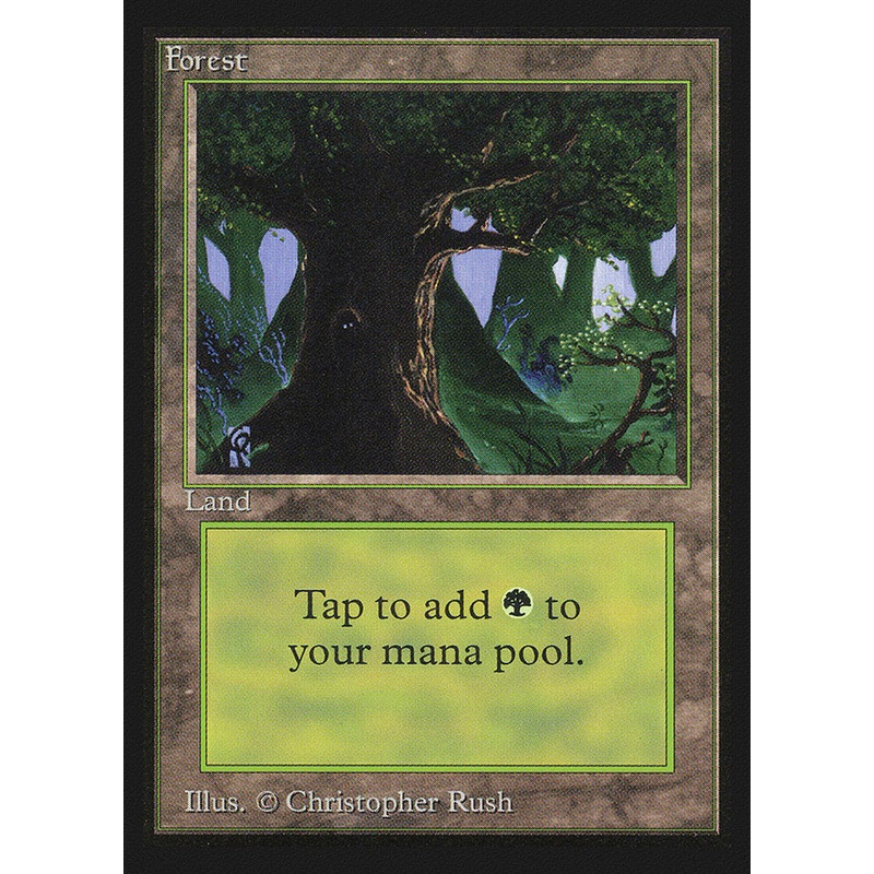 Forest (Eyes in Tree) [Collectors' Edition]