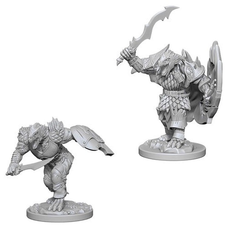 Nolzur's Marvelous Miniatures: Male Dragonborn Fighter