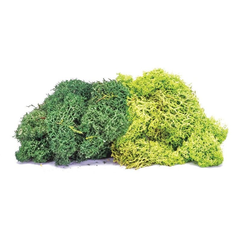 Skale Scenics Large Lichen Green Mix