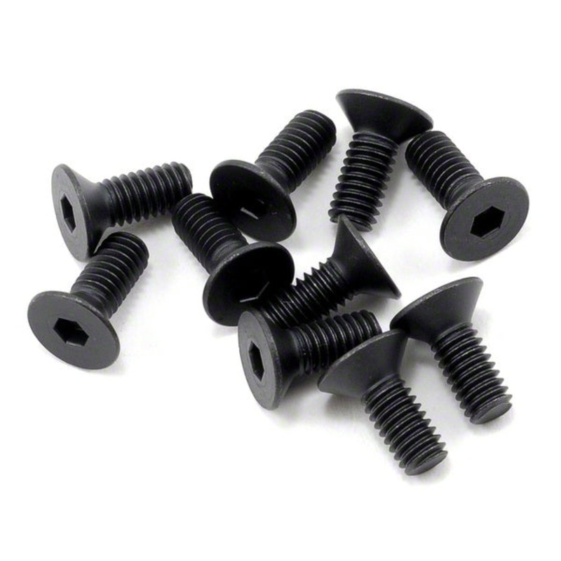 Agama Racing 4x10mm Flat Head Screw (10)
