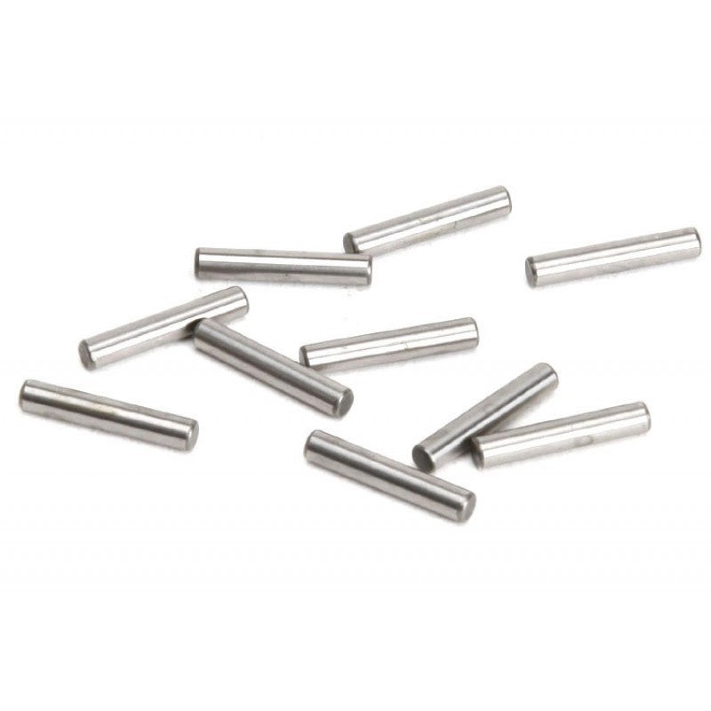 Agama Pin 3x16.8 (10)