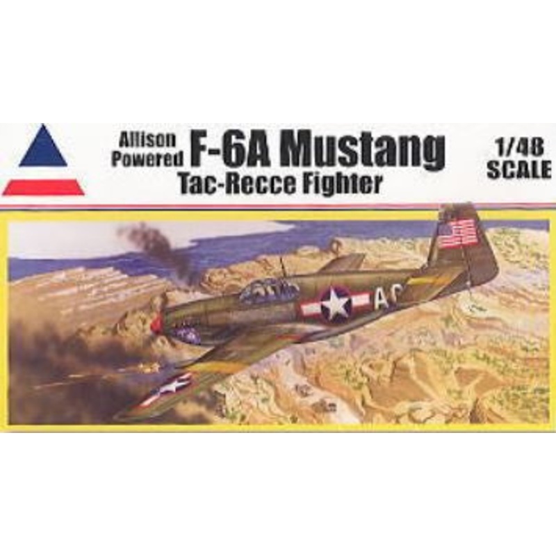 Accurate 1:48 F-6A Mustang Tac-Recce Fighter