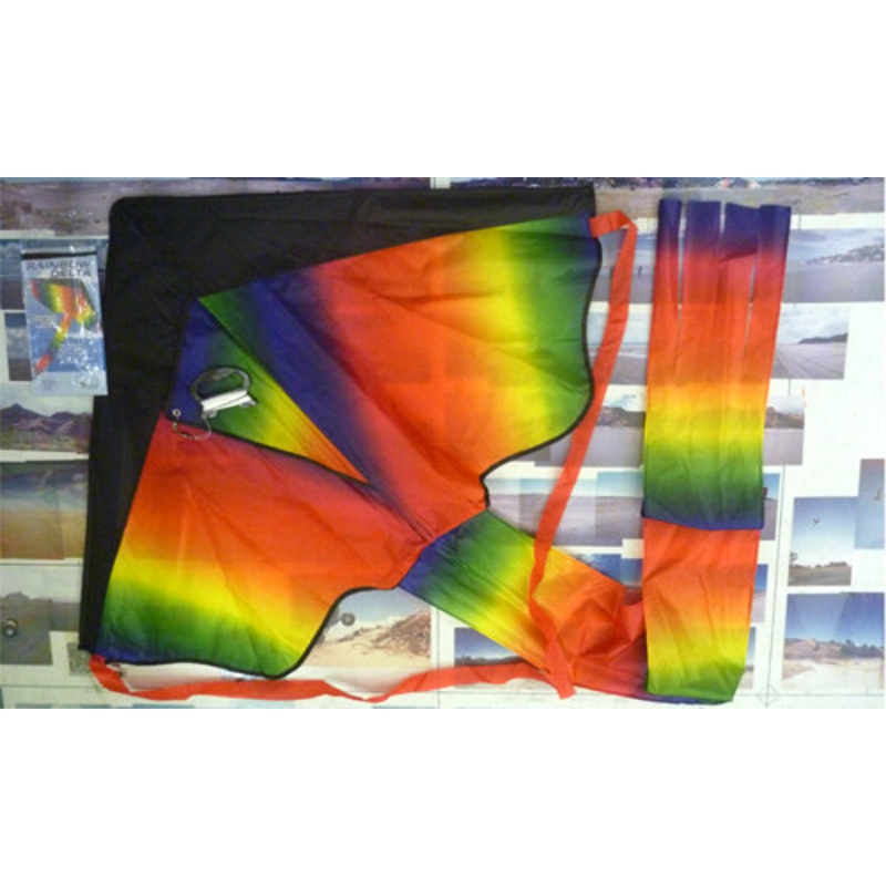 Rainbow Delta Kite