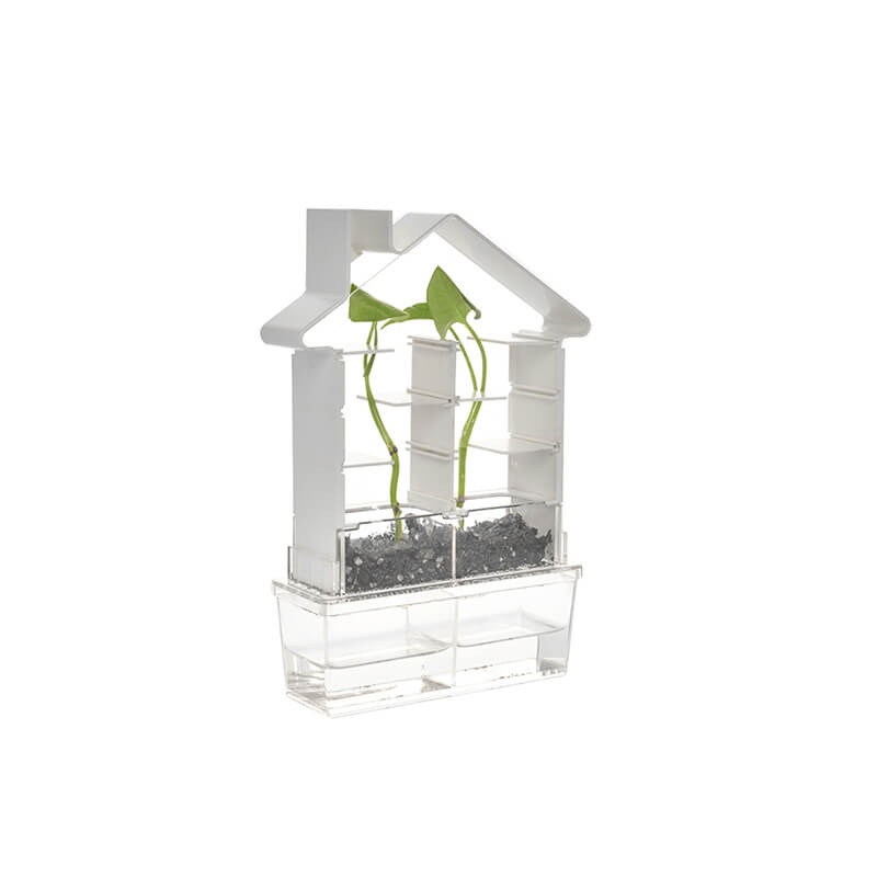 PLAY STEAM XP00201 Plant Maze Botany Set