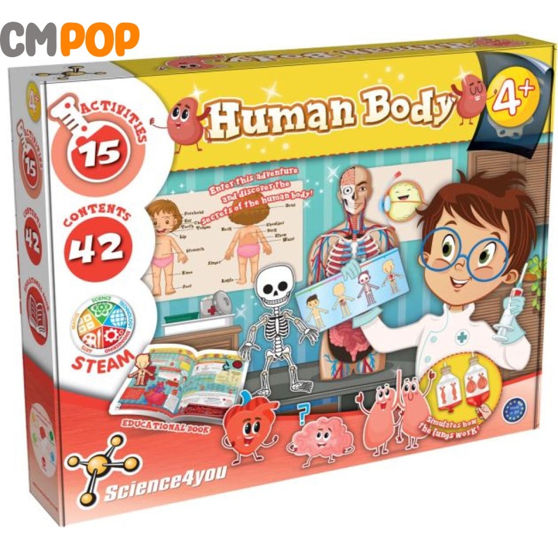Human Body