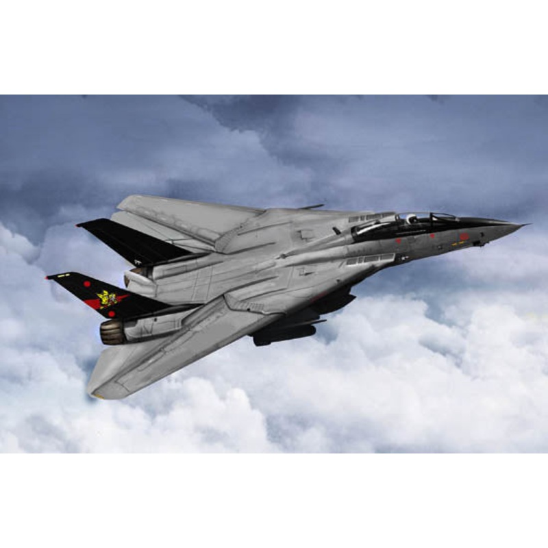 Trumpeter - 1/144 F-14B Tomcat