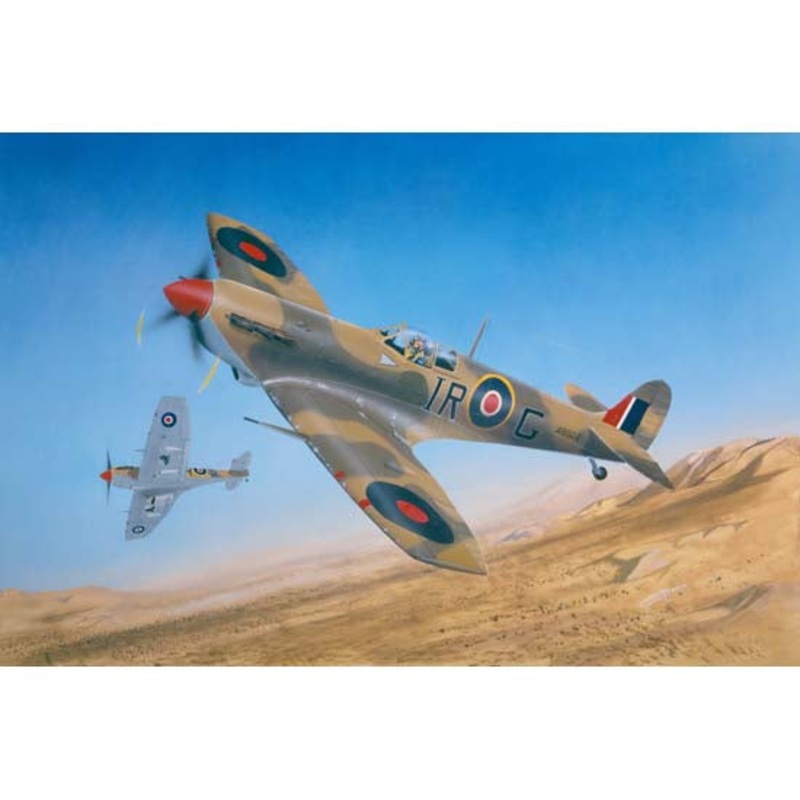 Trumpeter - 1/24 Supermarine Spitfire Mk.Vb / Trop