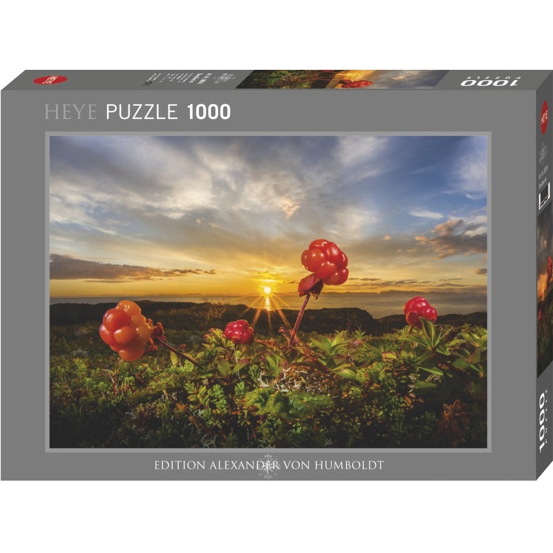 Heye - Cloudberries (1000 pieces)