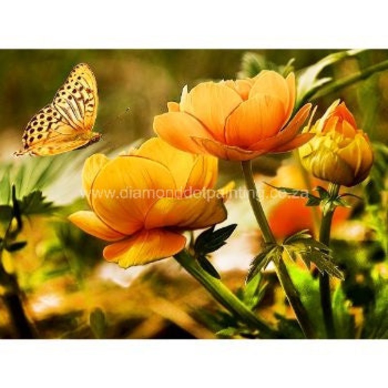 Diamond-Dot - DDP0155 - Pollination (40x30)