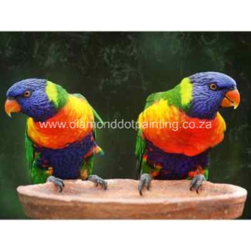 Diamond-Dot - DDP0167 - Love Birds (40x30)
