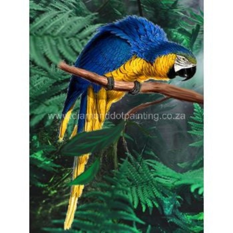 Diamond-Dot - DDP0308 - Yellow & Blue Parrot (40x30)
