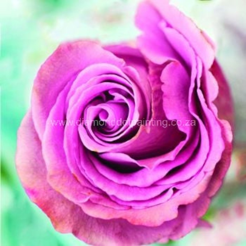 Diamond-Dot - DDP0398 - Pink Rose Bud (30x30) Full